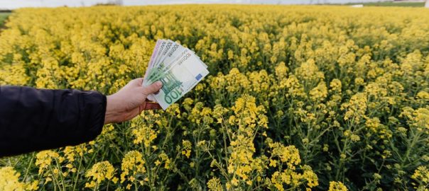 investiranje-v-delnice-za-vlagatelje-zacetnike